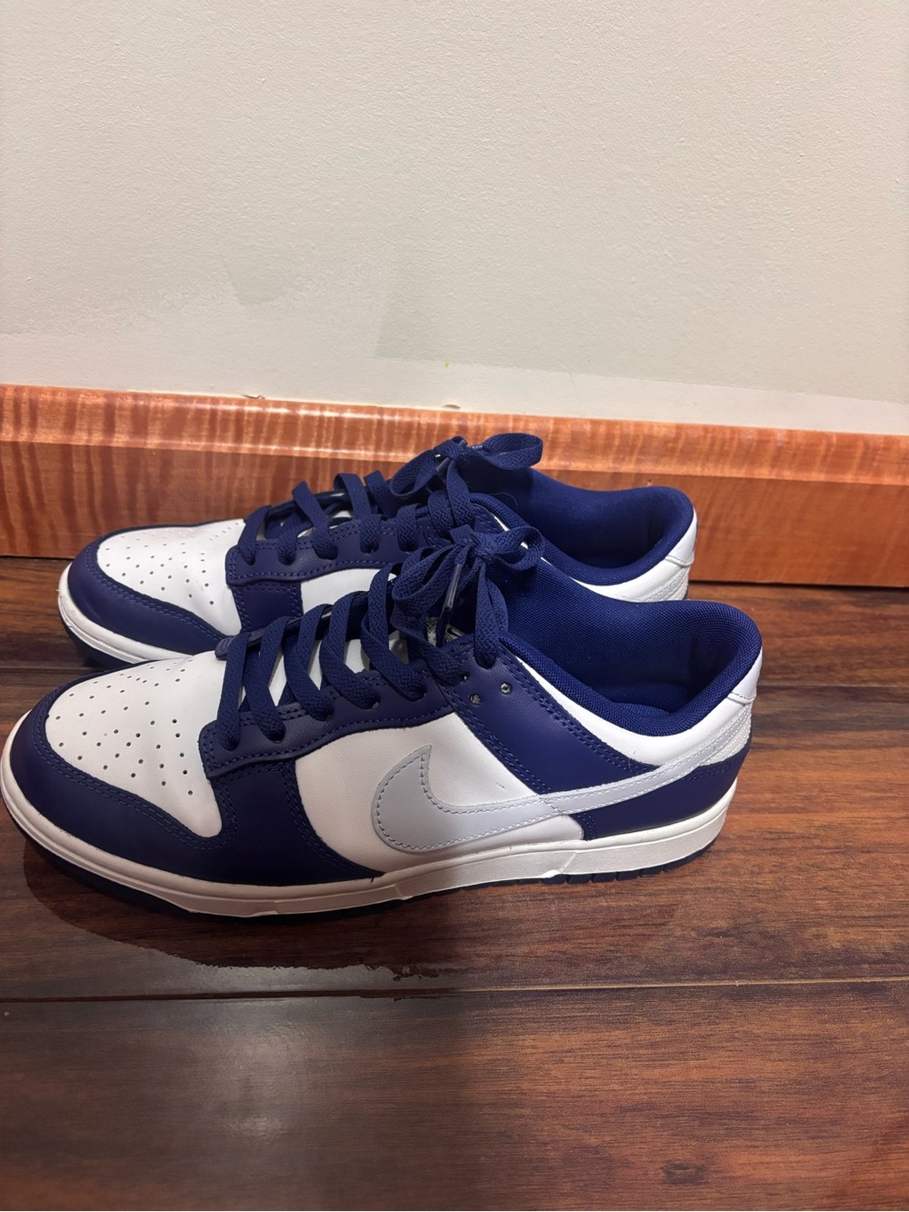 Nike Low-Top Sneakers in Blue and White